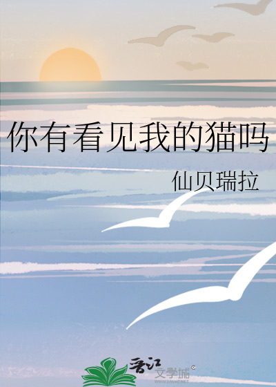你有看见我的猫吗